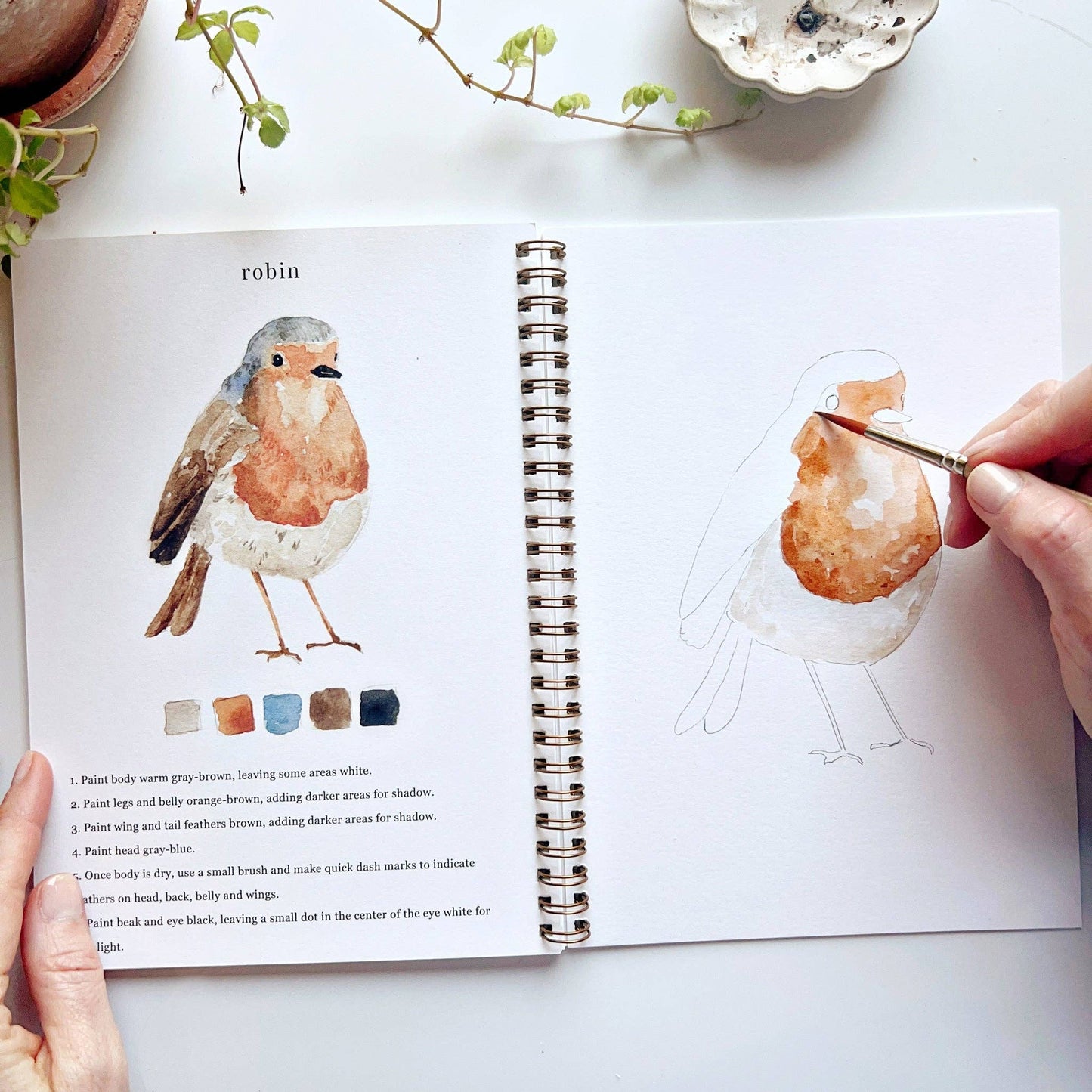 Birds watercolor workbook