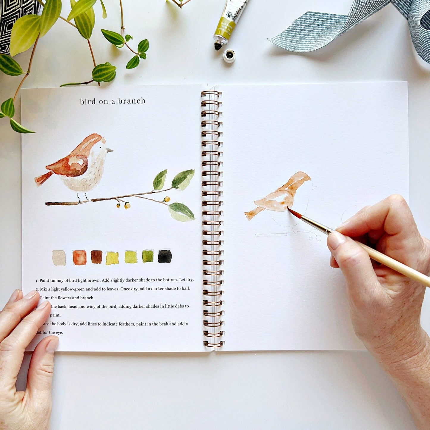 Animals watercolor workbook