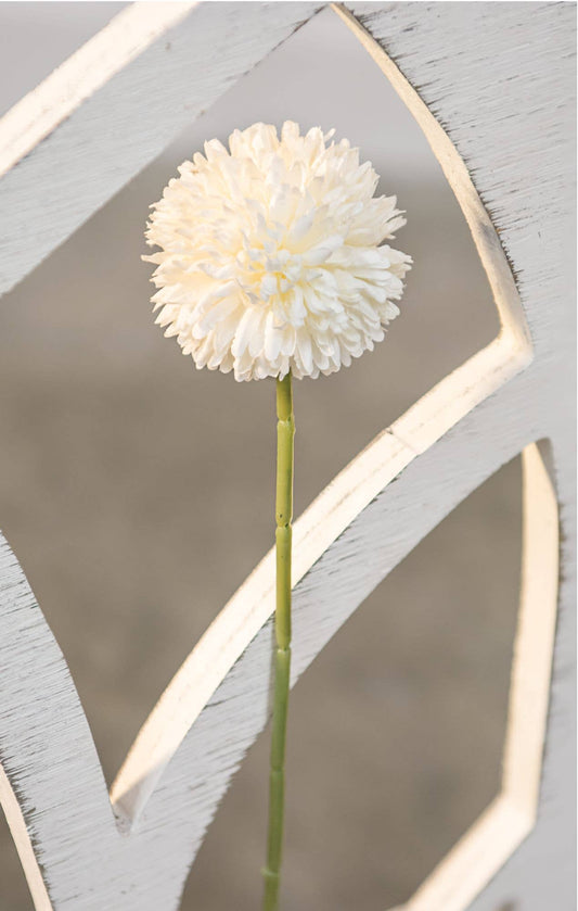 Pompom Stem, White