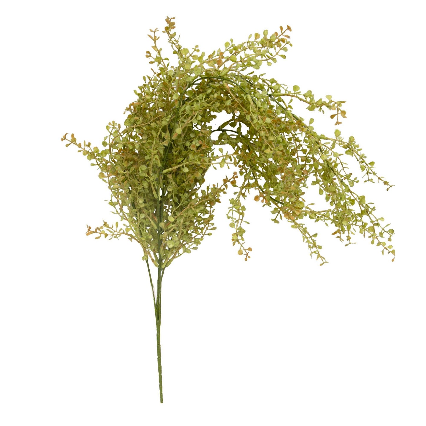 Baby's Grass Hanging Bush, Light Green, 19"