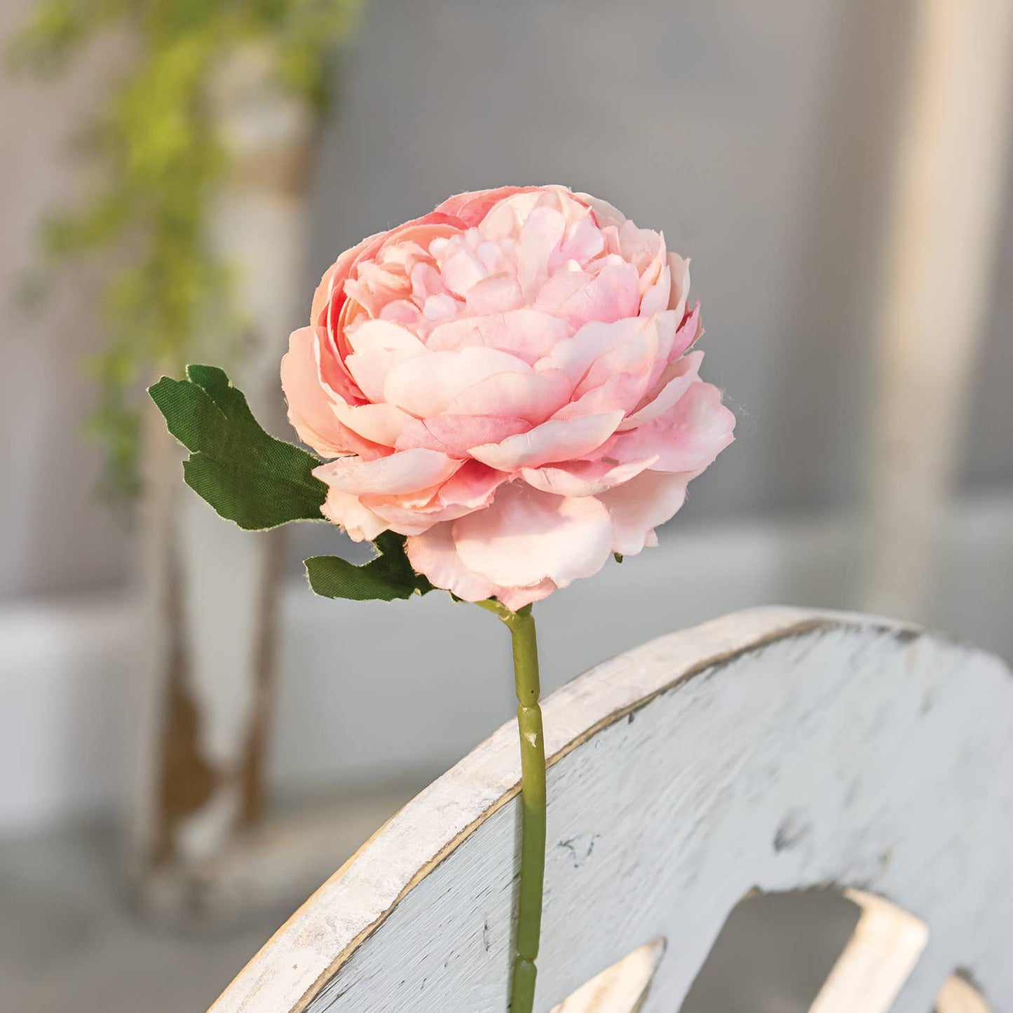 Peony Stem, Blush