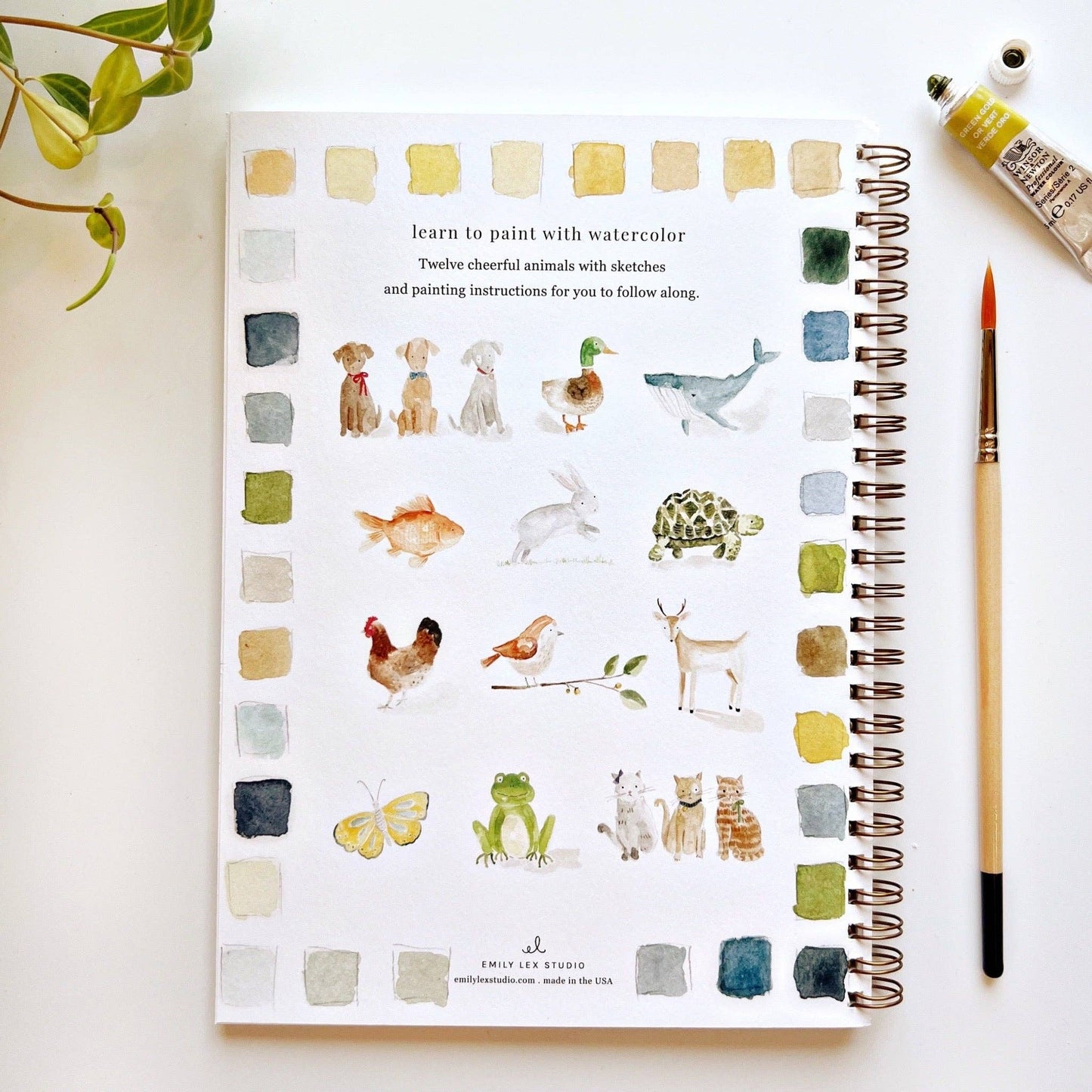 Animals watercolor workbook